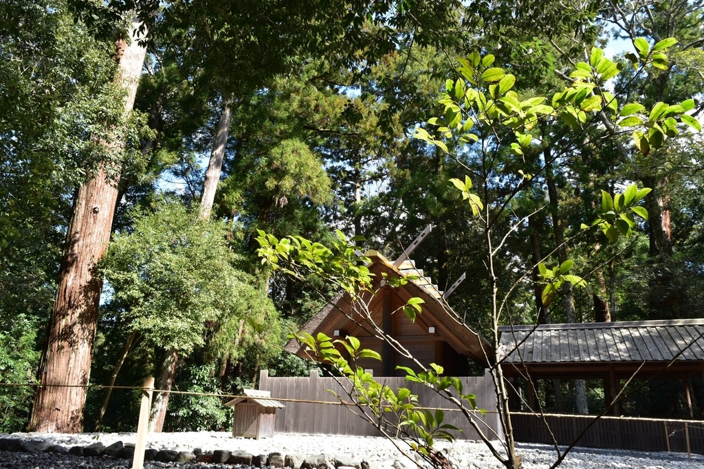 f:id:remuse:20190312094959j:plain f:id:remuse:20190312094959j:plain