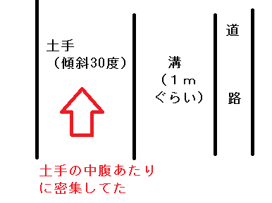 つくしを食べたい人おいで 春の味覚 つくしの採り方を解説してみたよ 鳥頭奮闘記