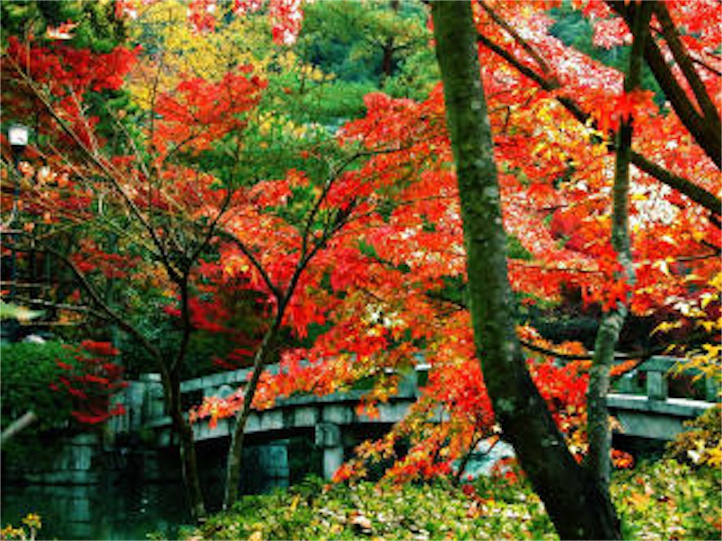 f:id:ren0610:20181003173046j:image