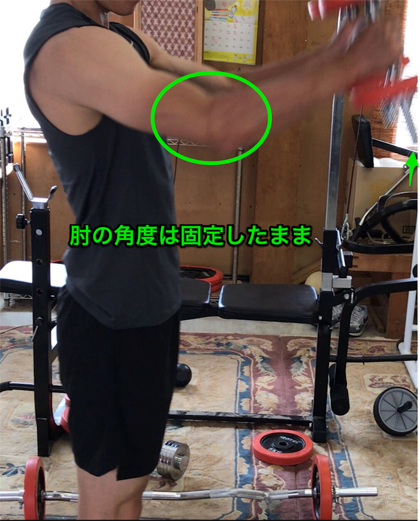 f:id:ren1133293:20190822094633p:image f:id:ren1133293:20190822094633p:image