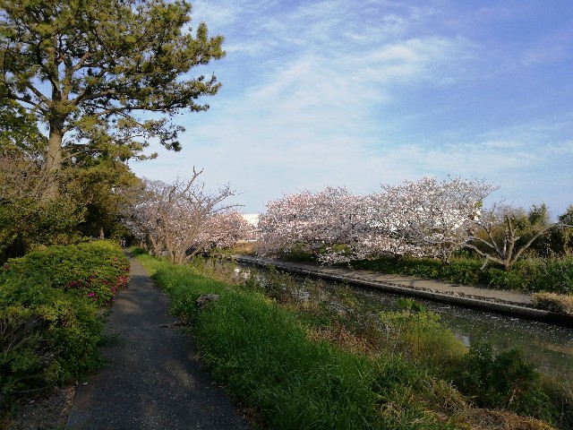 f:id:ren222ren:20200411165702j:image