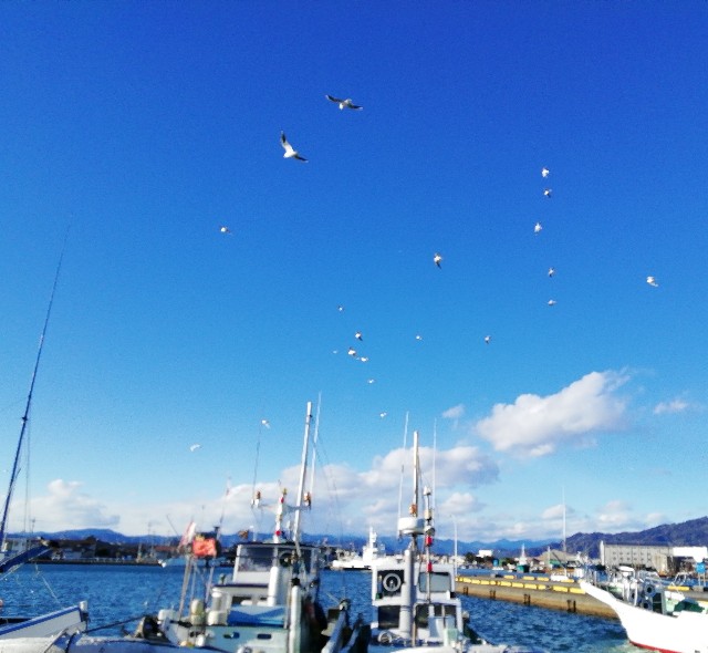 f:id:ren222ren:20201231184203j:plain