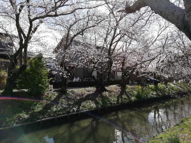 f:id:ren222ren:20220327143659j:plain