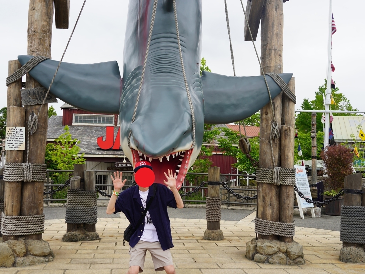 f:id:ren5009:20210705220043j:plain