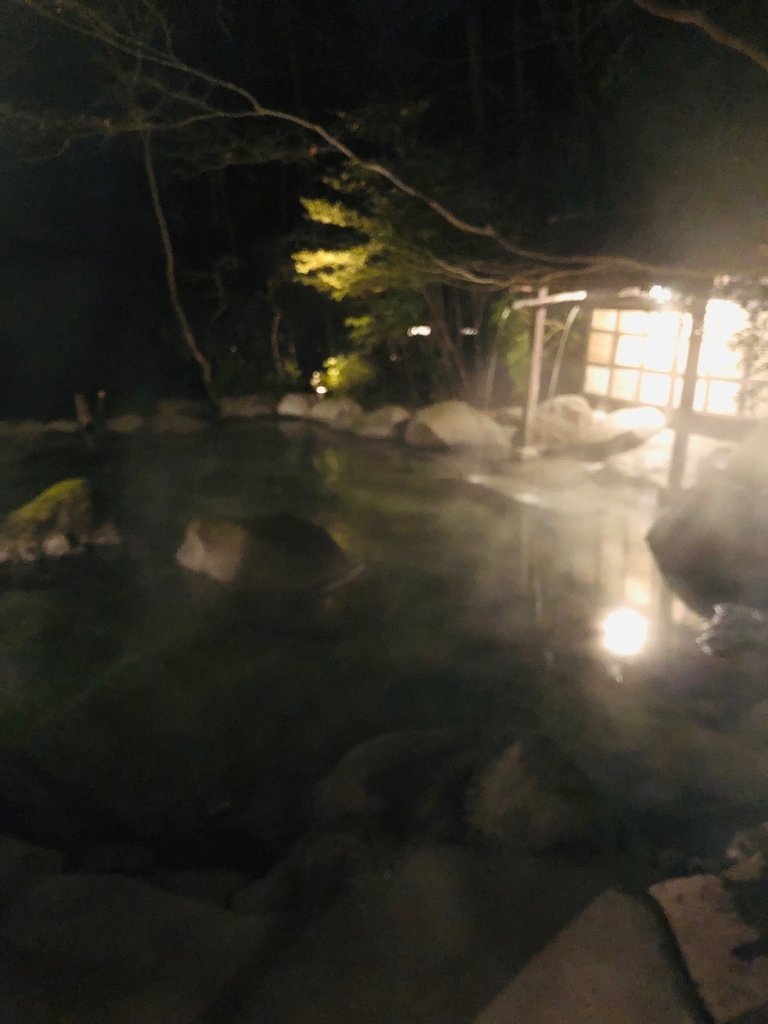 f:id:renashimizu:20190222190404j:plain