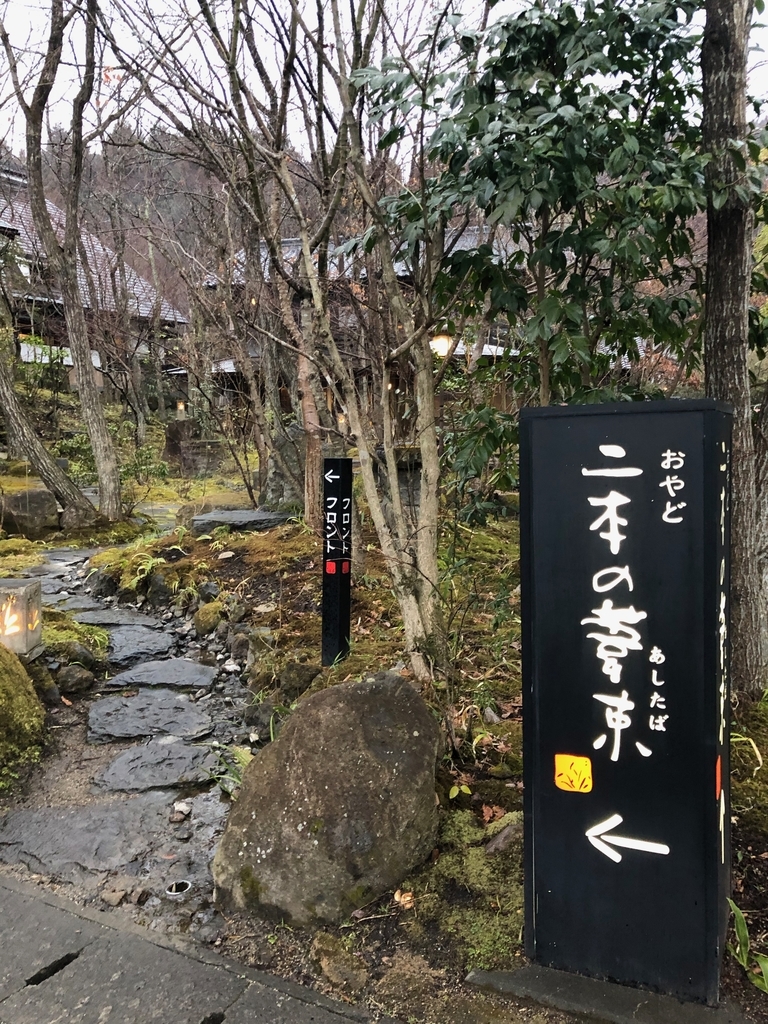 f:id:renashimizu:20190222190439j:plain