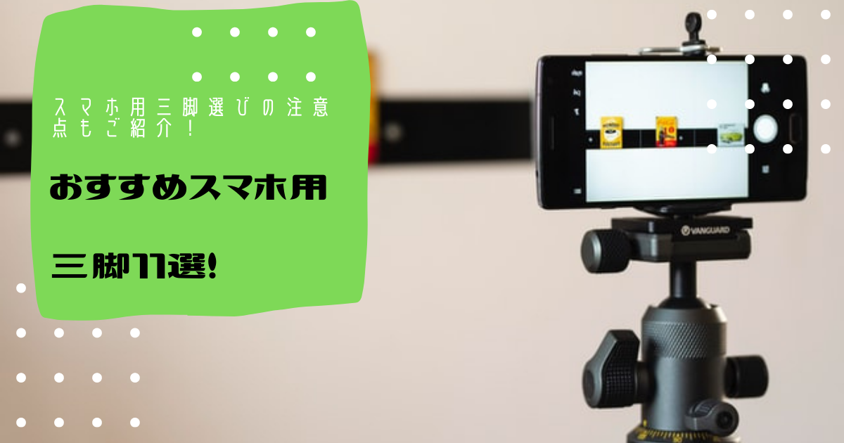 魚眼とは アートの人気 最新記事を集めました はてな 魚眼とは アートの人気 最新記事を集めました はてな