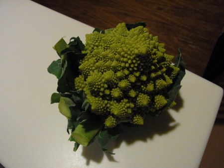f:id:renata:20120108170016j:image