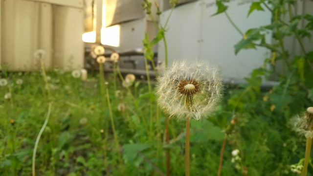 f:id:renchis:20190415224256j:image