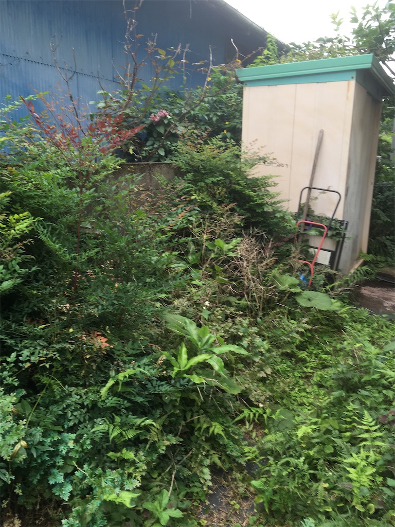 f:id:renganomichi:20190716170640j:image f:id:renganomichi:20190716170640j:image