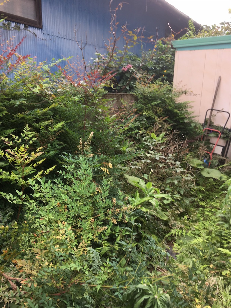 f:id:renganomichi:20190716170644j:image f:id:renganomichi:20190716170644j:image