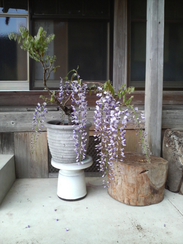 f:id:rengeji-com:20100424174800j:image