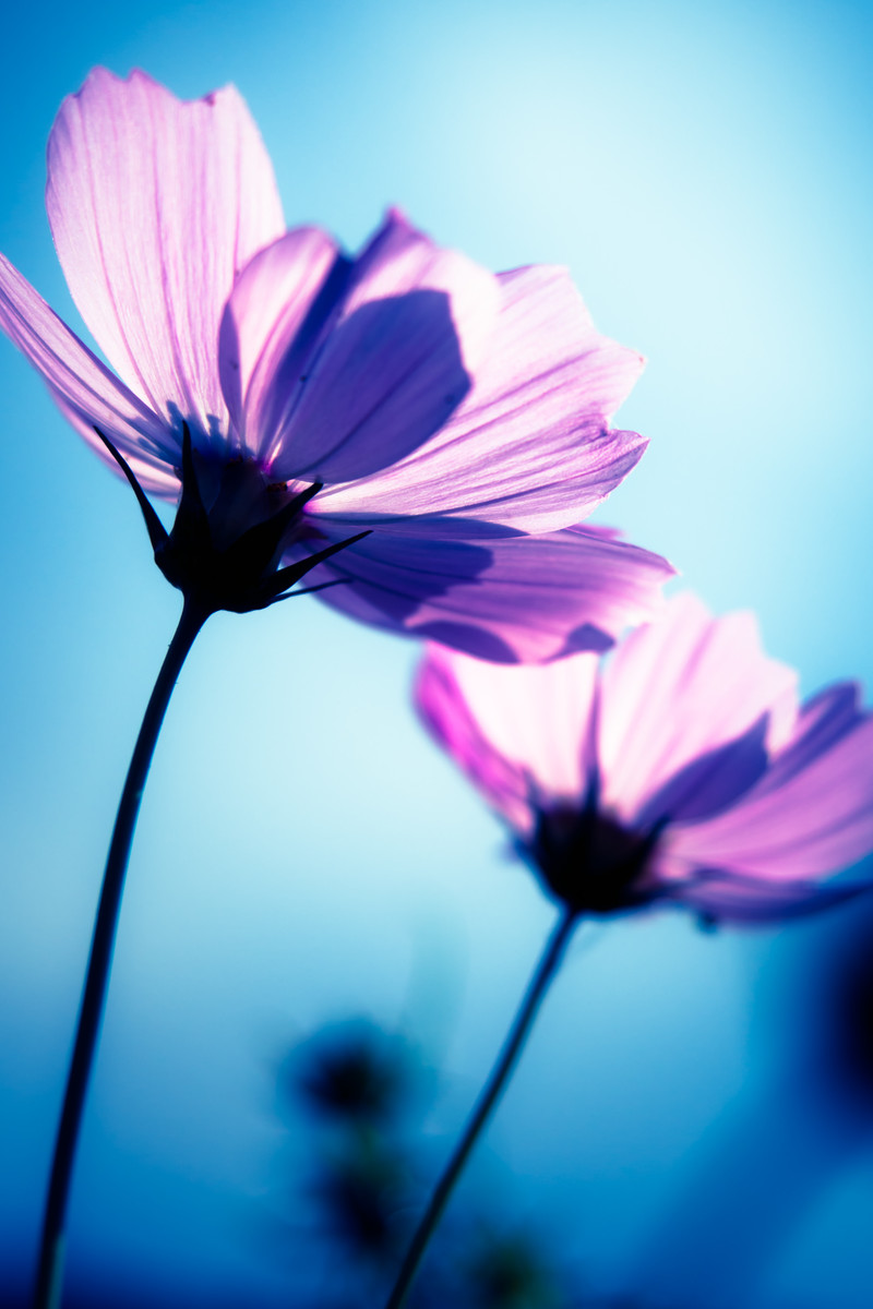 f:id:rengesouu:20200906115820j:plain f:id:rengesouu:20200906115820j:plain