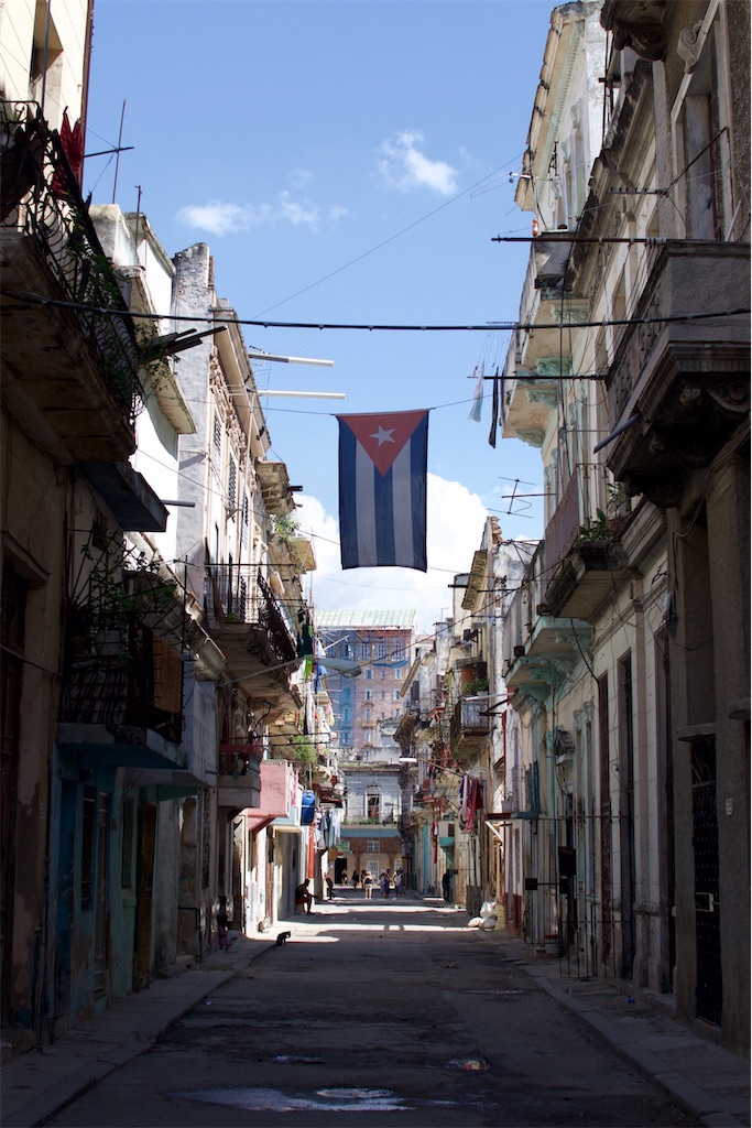 f:id:rengm:20190325144301j:image f:id:rengm:20190325144301j:image