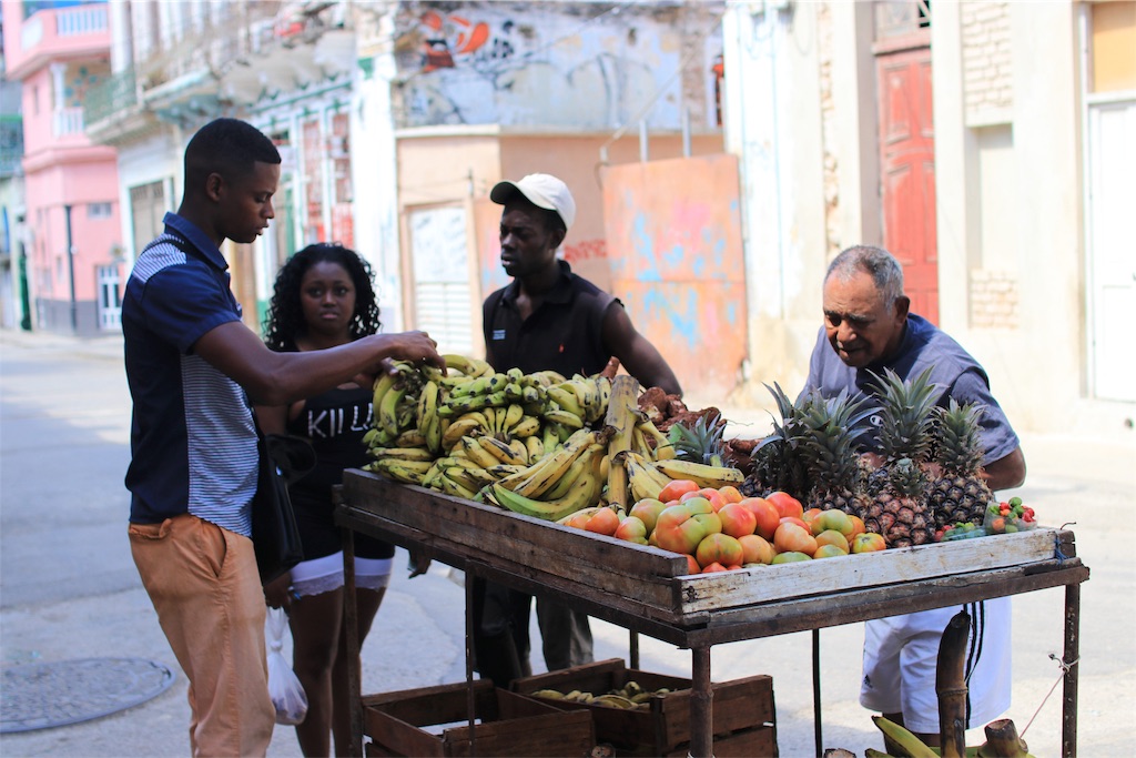 f:id:rengm:20190325144353j:image f:id:rengm:20190325144353j:image