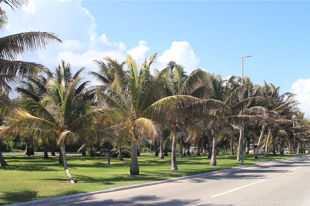 f:id:rengm:20190325145423j:image f:id:rengm:20190325145423j:image