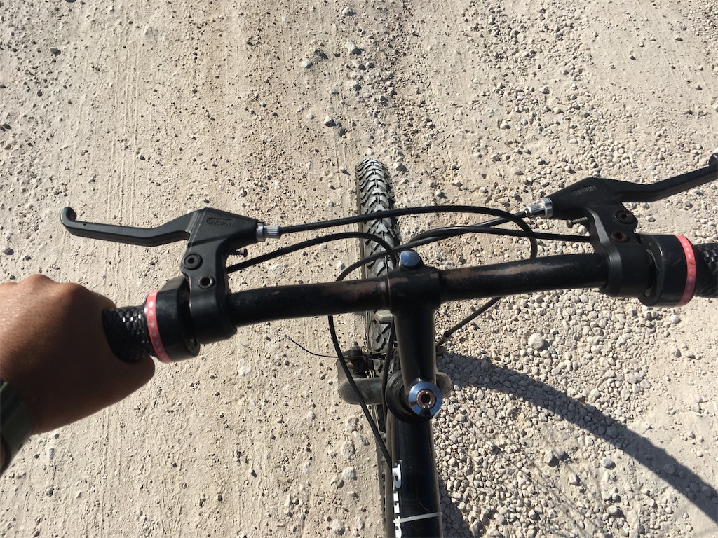 f:id:rengm:20190325145949j:image f:id:rengm:20190325145949j:image