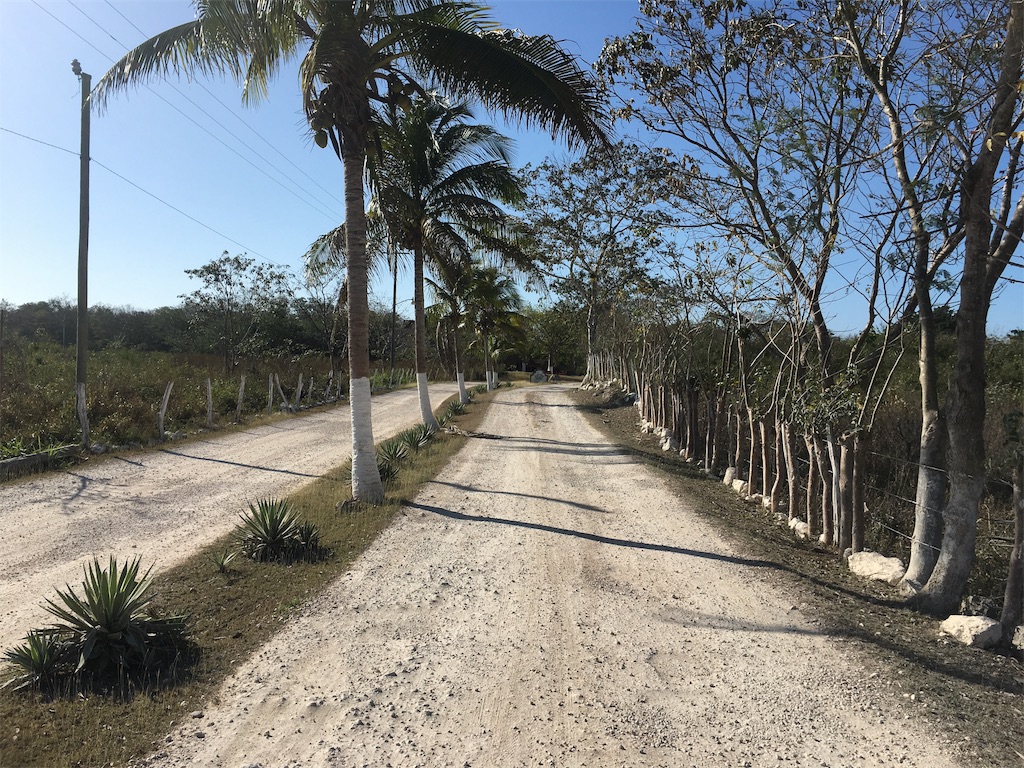 f:id:rengm:20190325145954j:image f:id:rengm:20190325145954j:image