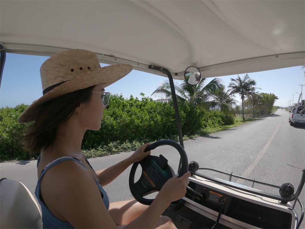 f:id:rengm:20190325150726j:image f:id:rengm:20190325150726j:image