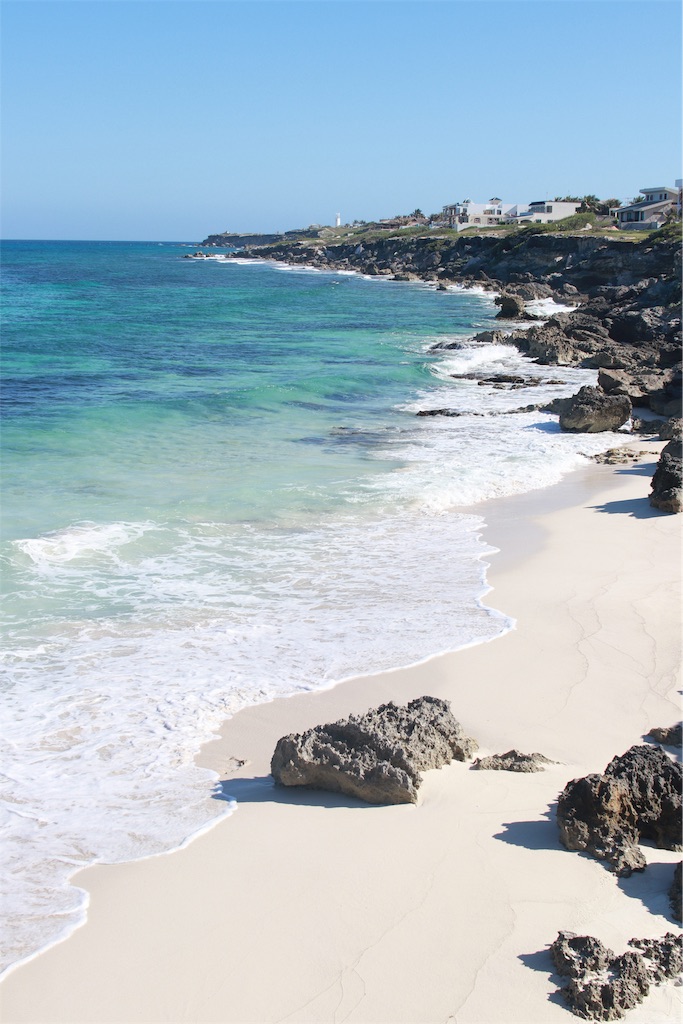 f:id:rengm:20190325150901j:image f:id:rengm:20190325150901j:image