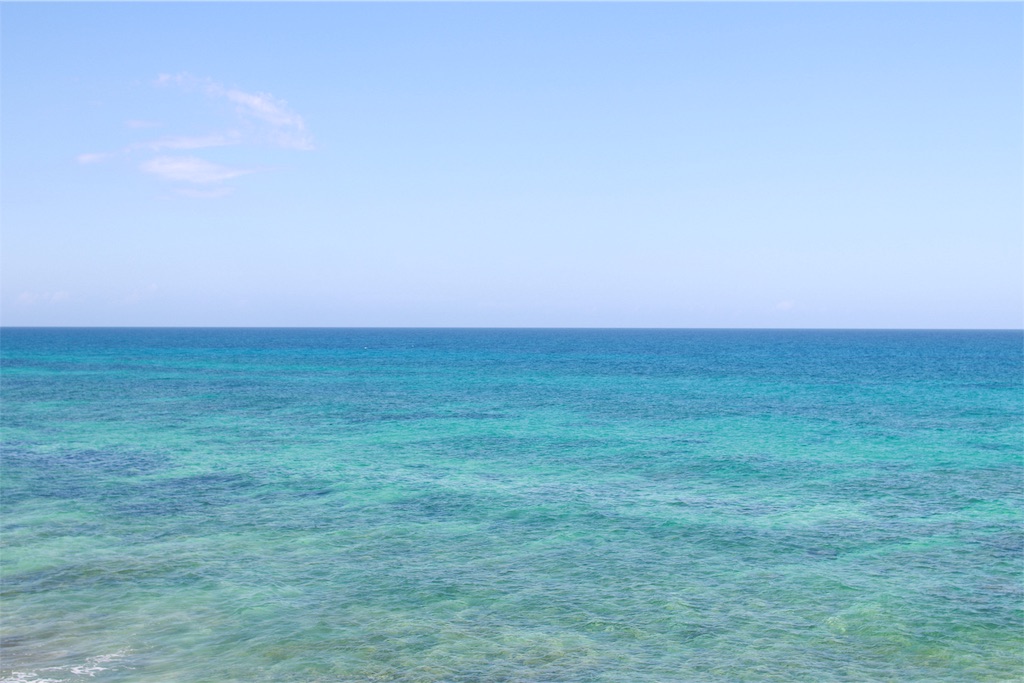 f:id:rengm:20190325150905j:image f:id:rengm:20190325150905j:image