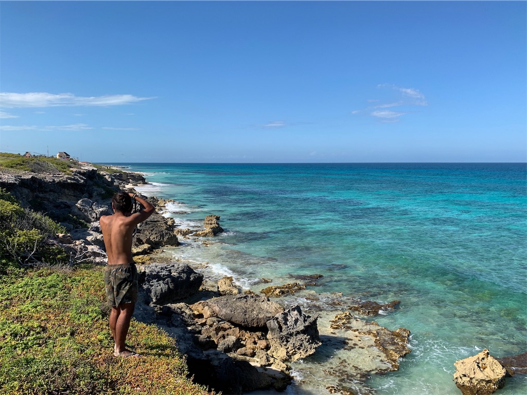 f:id:rengm:20190325151056j:image f:id:rengm:20190325151056j:image