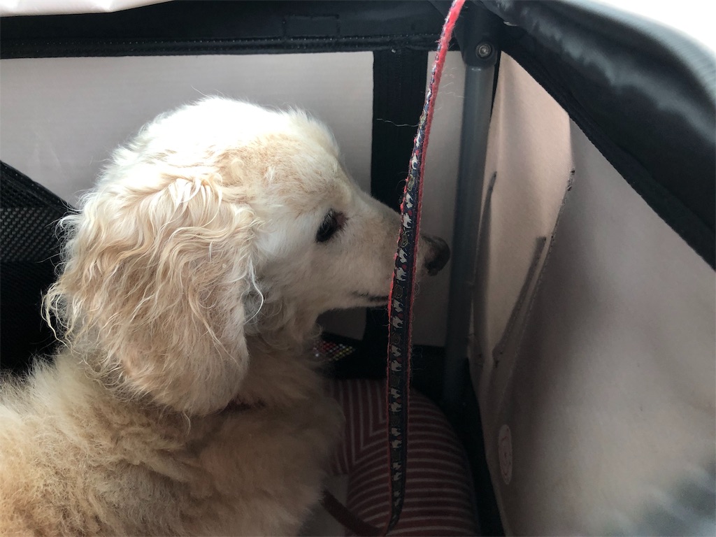 f:id:renkunno:20190720161035j:image f:id:renkunno:20190720161035j:image