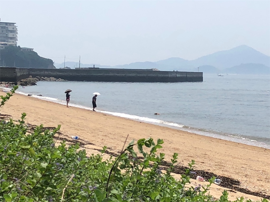 f:id:renkunno:20190728145851j:image