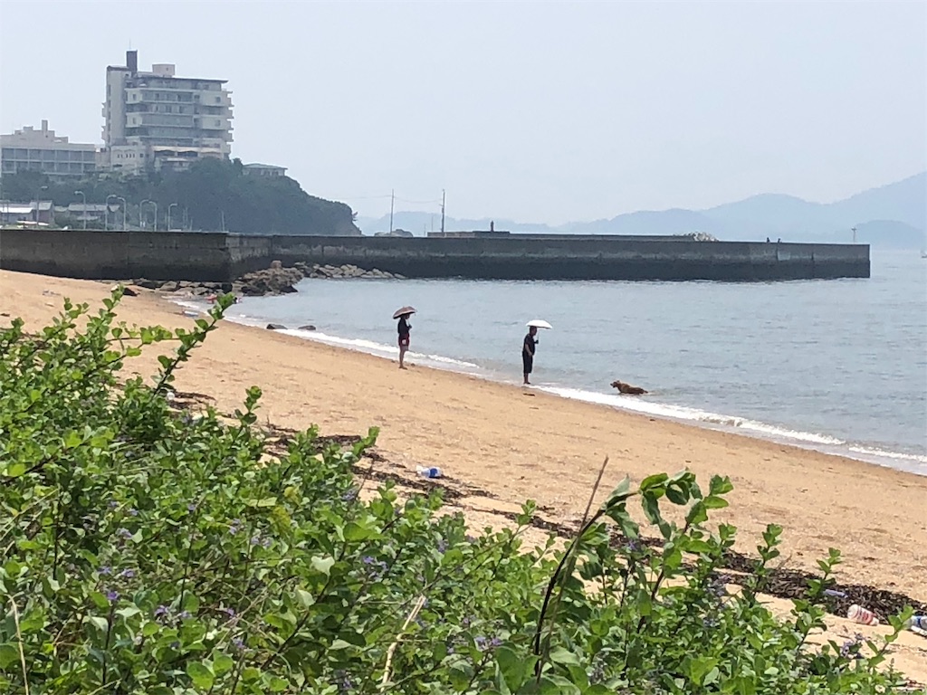 f:id:renkunno:20190728145857j:image