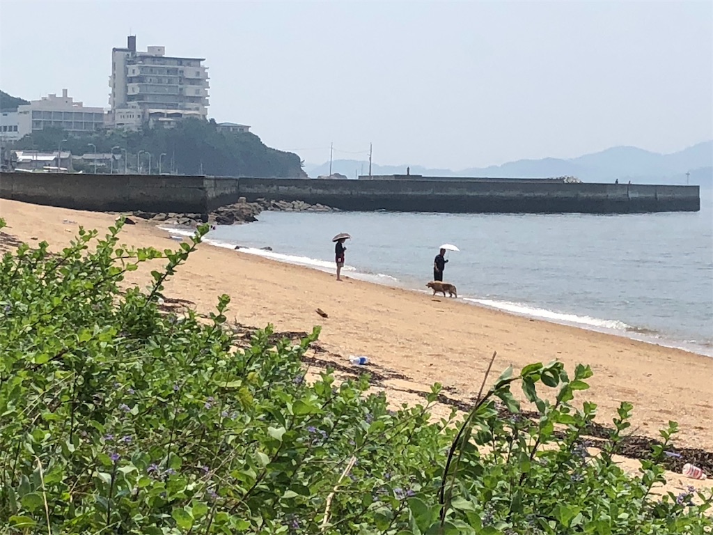 f:id:renkunno:20190728145904j:image