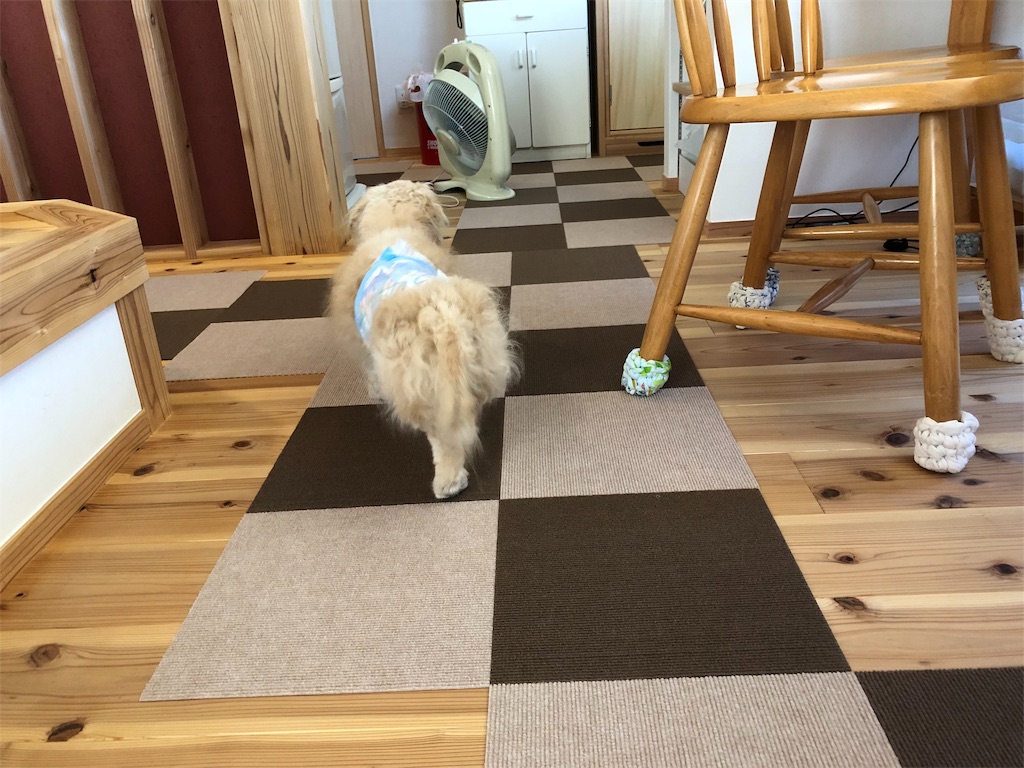 f:id:renkunno:20190909204650j:image
