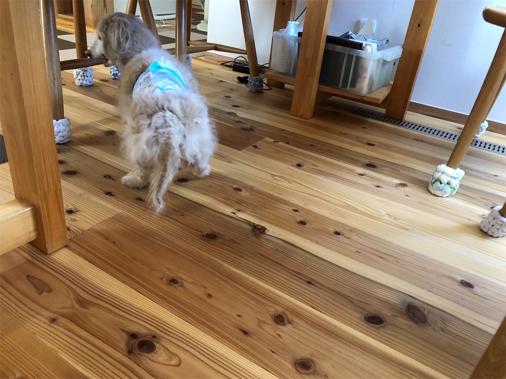 f:id:renkunno:20190909204656j:image