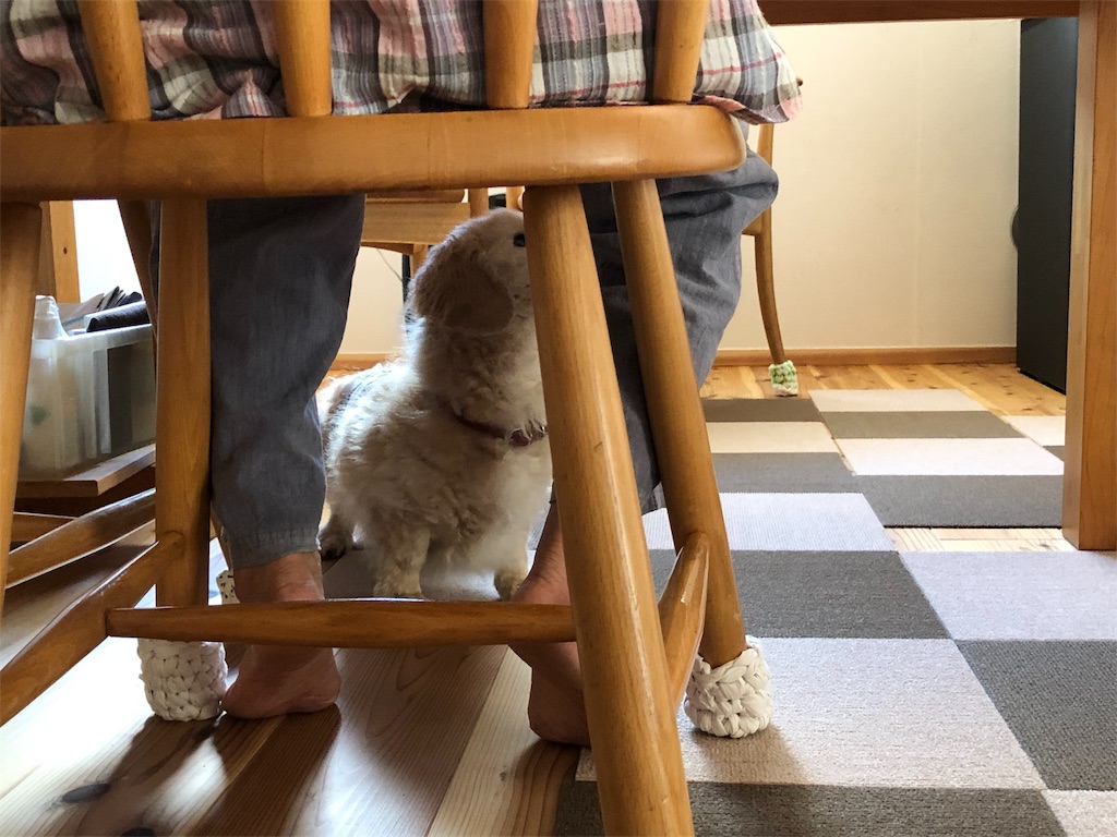 f:id:renkunno:20190909204708j:image