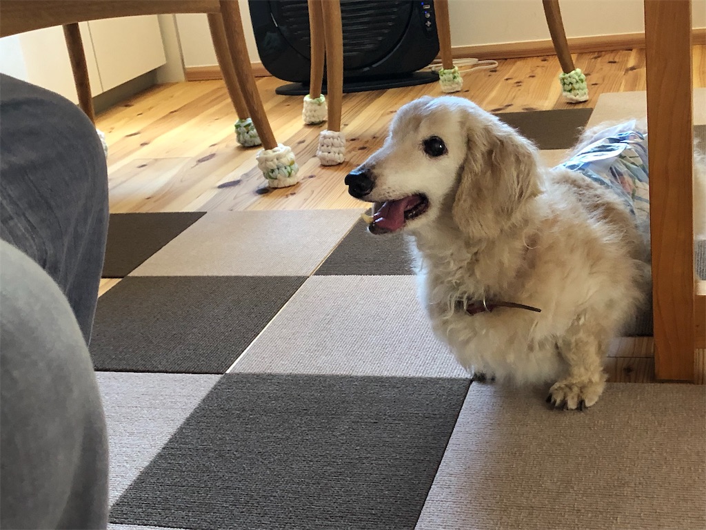 f:id:renkunno:20190909204722j:image