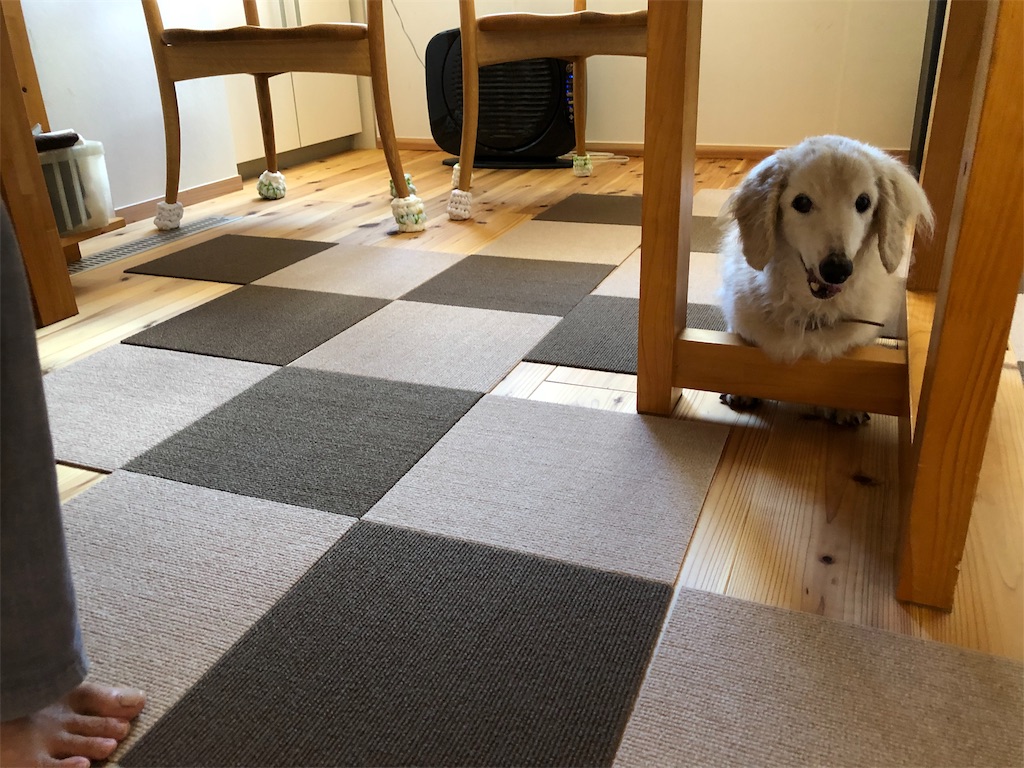 f:id:renkunno:20190909204728j:image