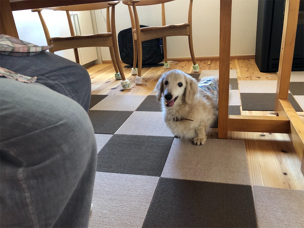 f:id:renkunno:20190909204733j:image