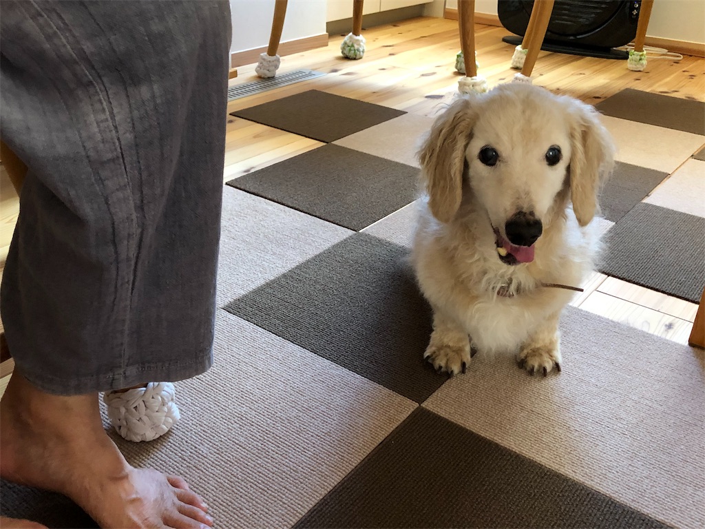 f:id:renkunno:20190910165512j:image