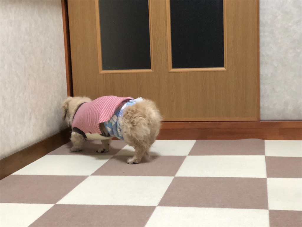 f:id:renkunno:20191220203409j:image f:id:renkunno:20191220203409j:image