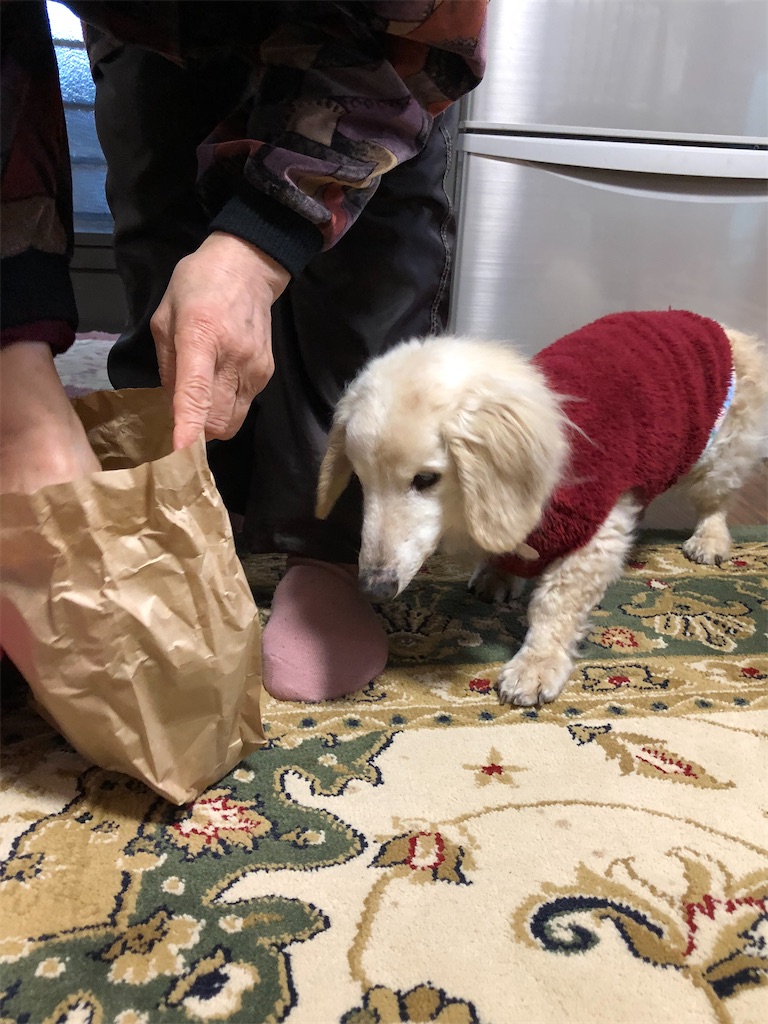 f:id:renkunno:20191231161020j:image f:id:renkunno:20191231161020j:image