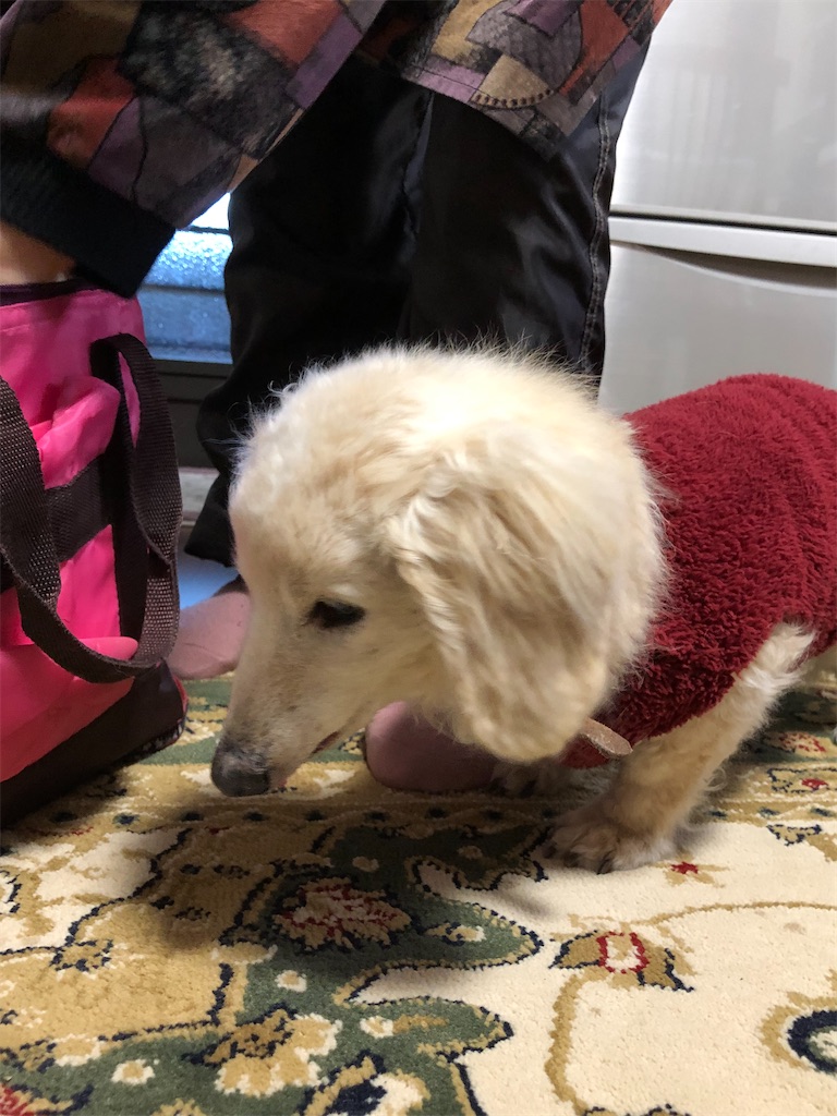f:id:renkunno:20191231161034j:image f:id:renkunno:20191231161034j:image