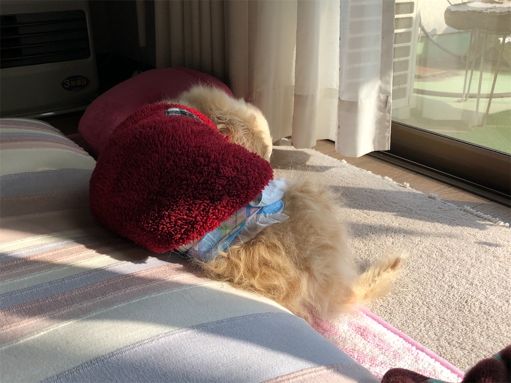 f:id:renkunno:20200103133855j:image