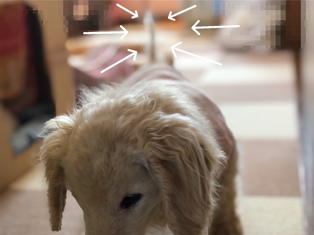 f:id:renkunno:20200428162616j:image