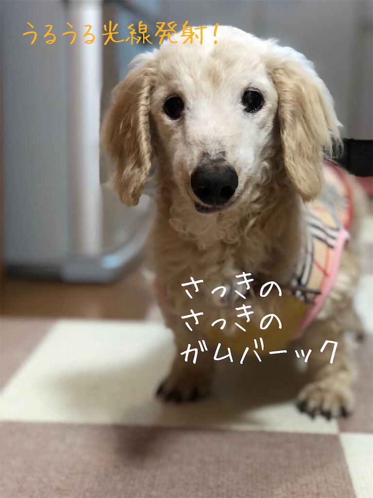 f:id:renkunno:20200515142859j:image