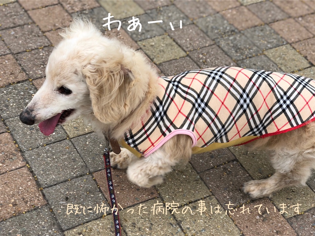 f:id:renkunno:20200515142908j:image