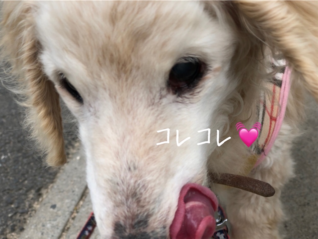 f:id:renkunno:20200515142914j:image