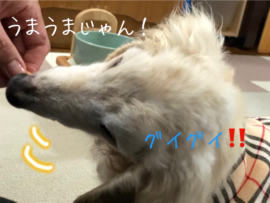 f:id:renkunno:20200515142921j:image