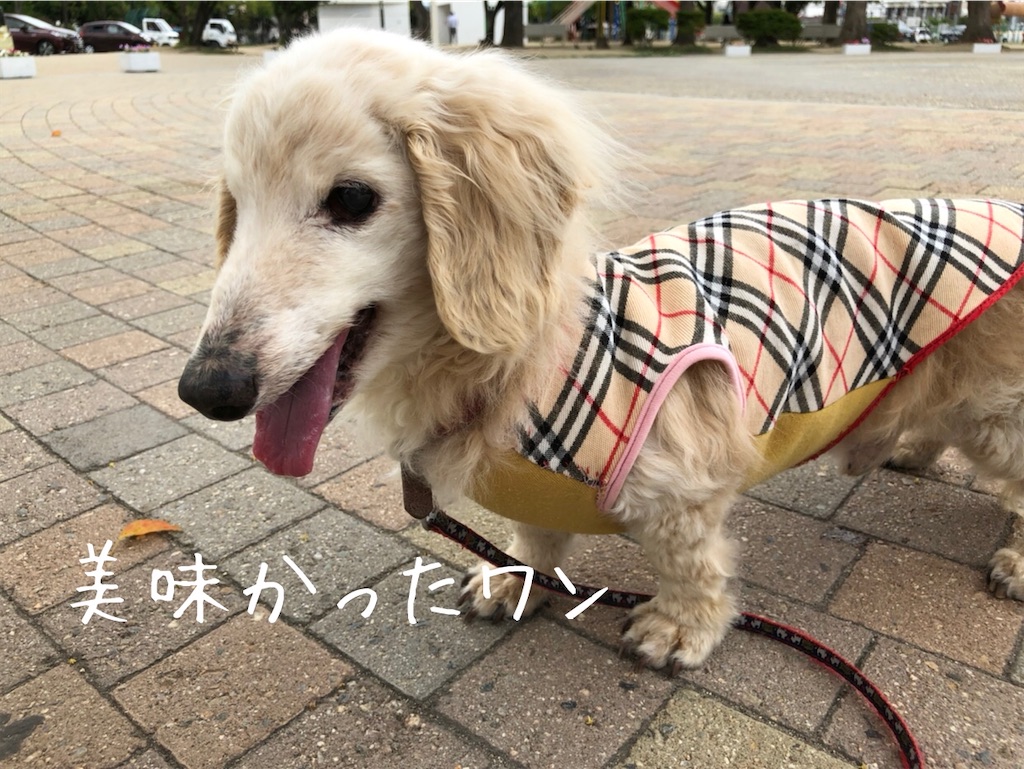 f:id:renkunno:20200515142928j:image