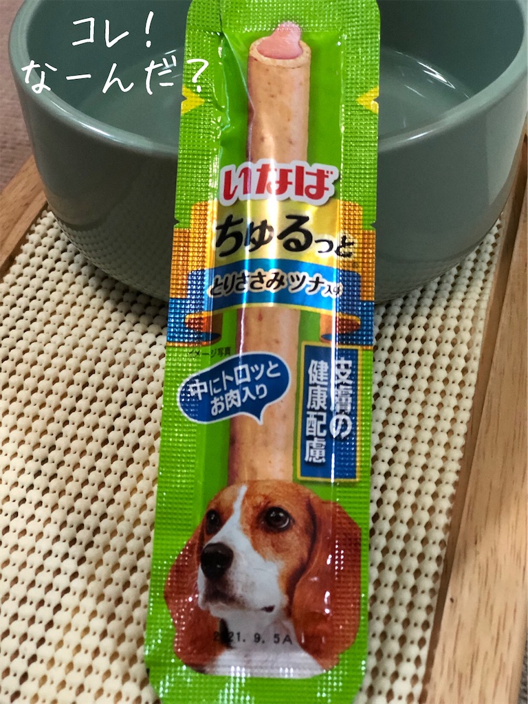 f:id:renkunno:20200515142935j:image