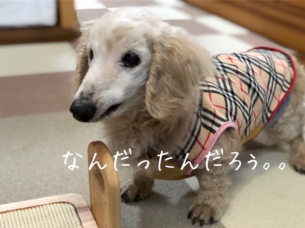 f:id:renkunno:20200515142942j:image