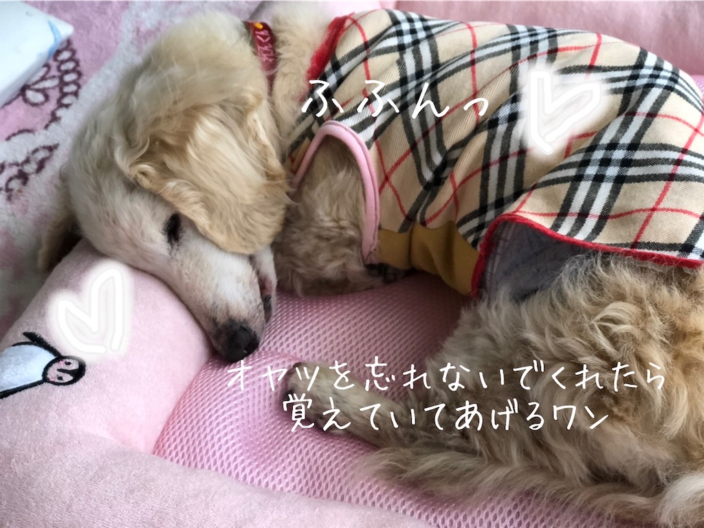 f:id:renkunno:20200515160633j:image